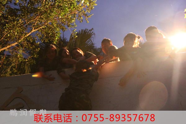 素质教育的基础意义及特点