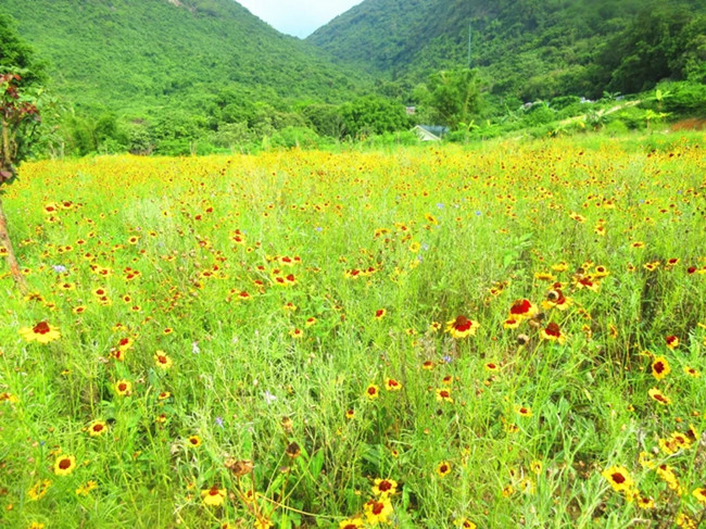 这个季节去哪玩比较好？推荐老虎沟生态农场